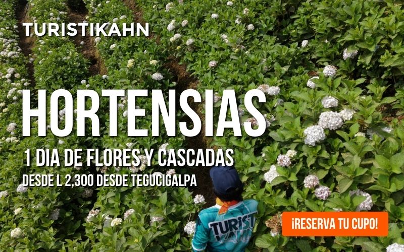 Tours y excursiones nacionales en Honduras - Parque Nacional Cusuco